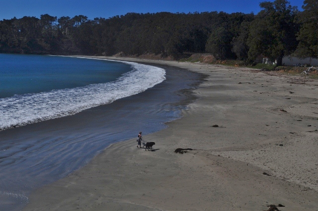 Wm R. Hearst Memorial State Park, San Simeon